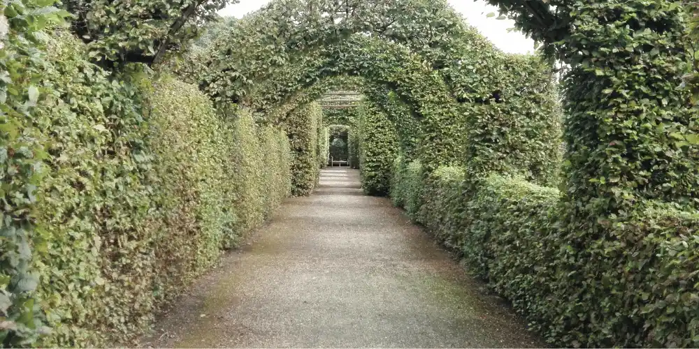 Devenez Jardinier de la Ville de Paris